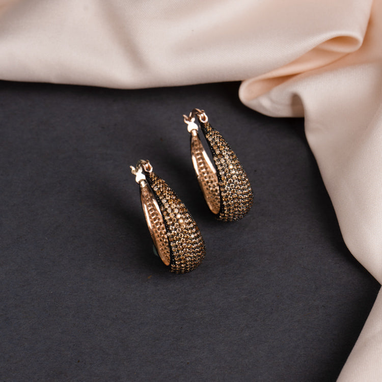 Brown and Black Diamonds Earrings