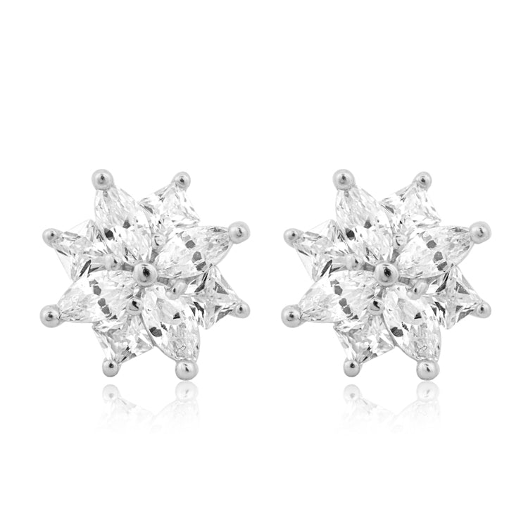 Snow Show Silver Earrings