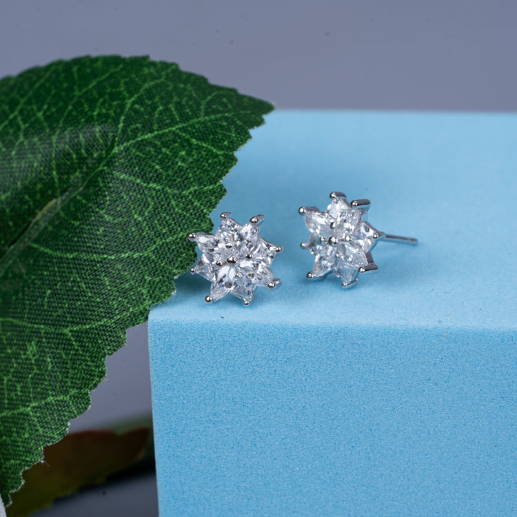 Snow Show Silver Earrings