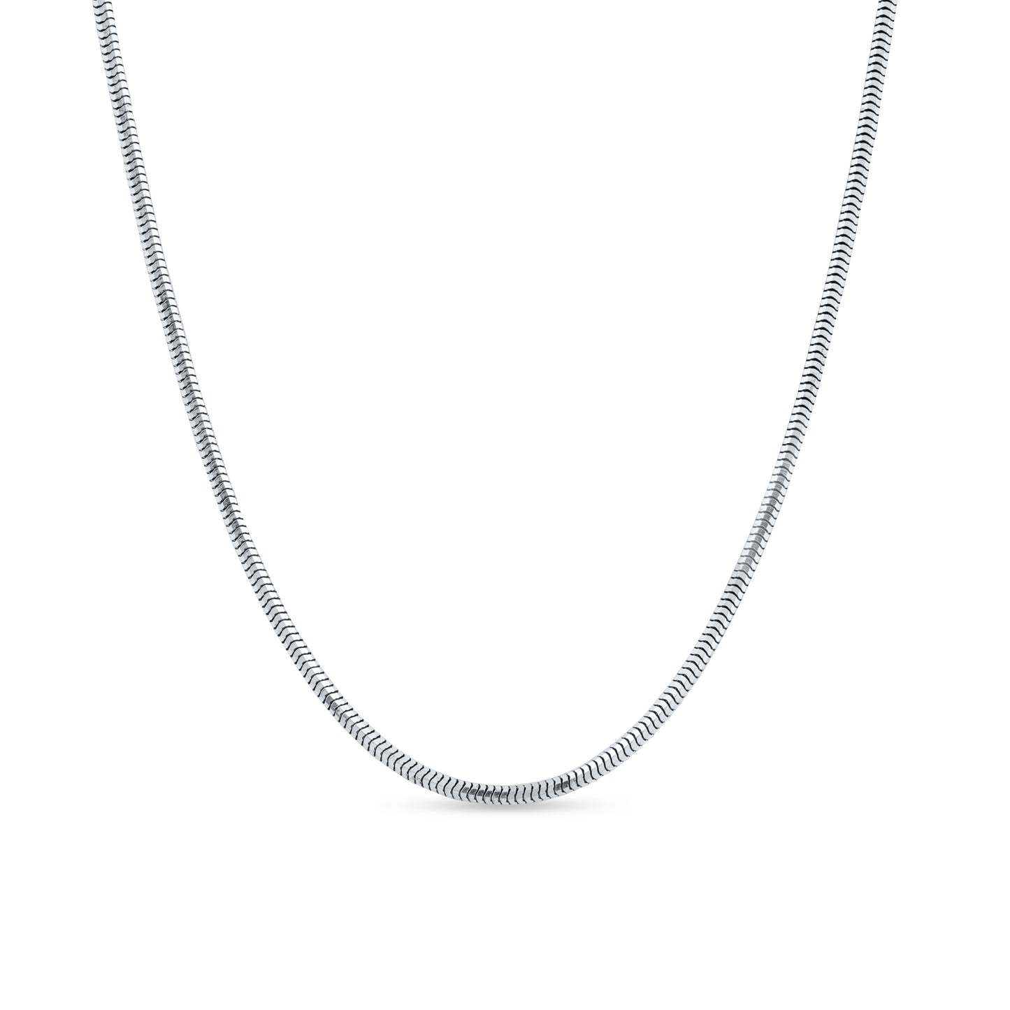 Silver Serpent Chain