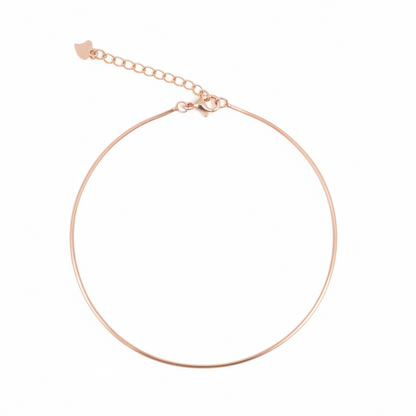 Rose Gold  Basic Anklet