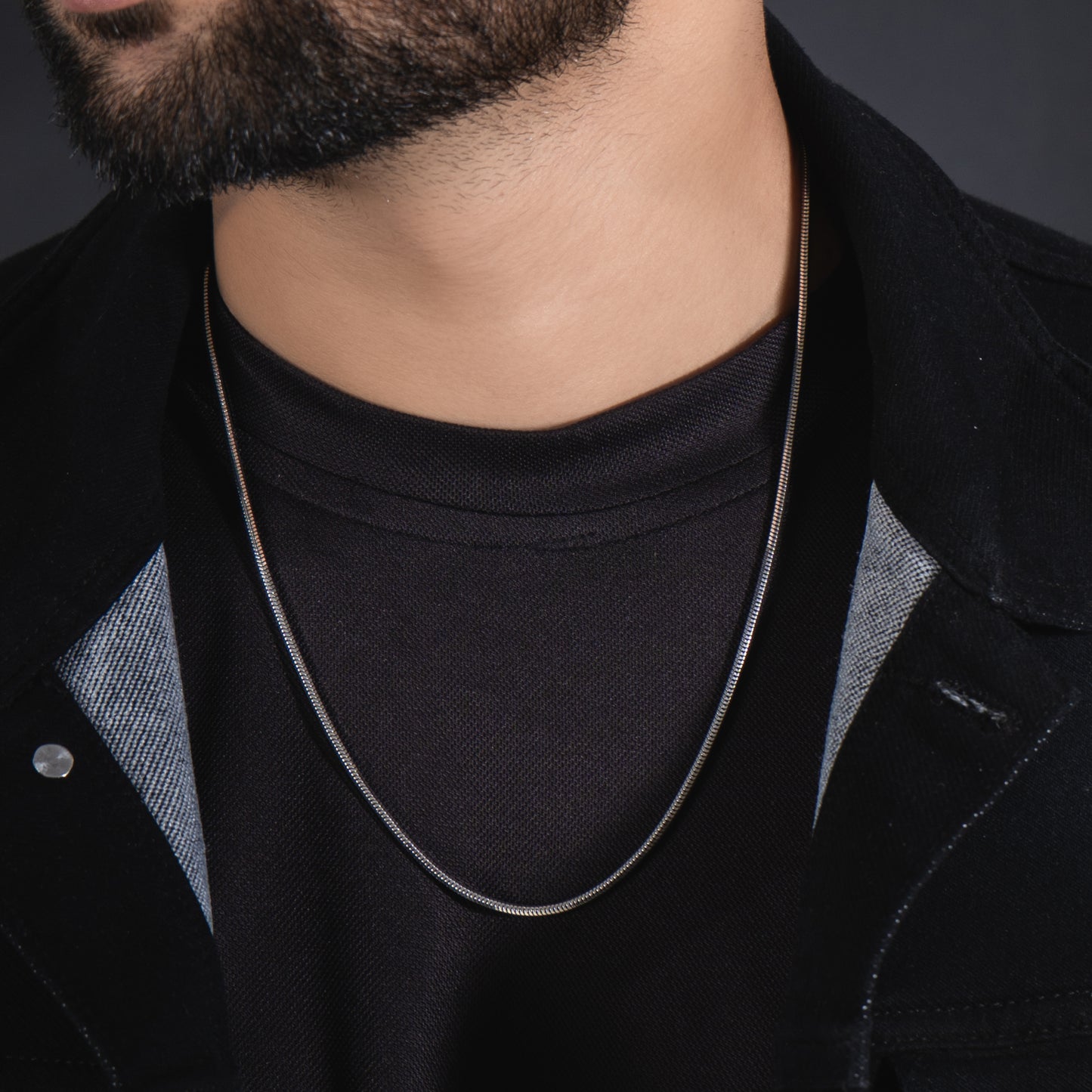 Silver Serpent Chain